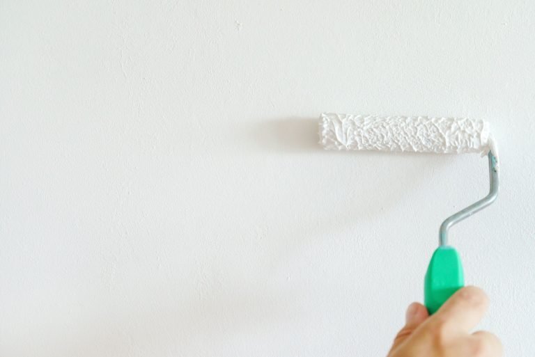 Can I Paint Straight Onto New Plaster? DIY Boss