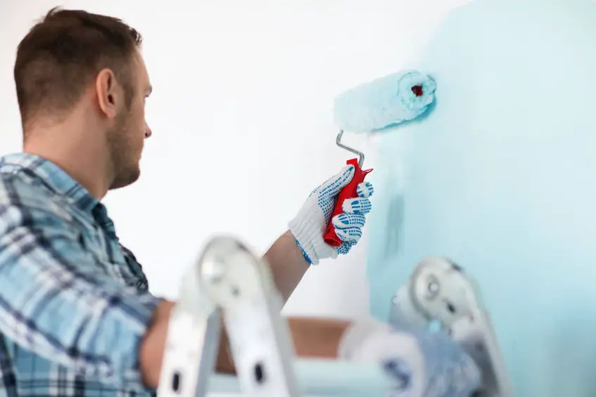 remove emulsion paint from plaster remove emulsion paint from plaster