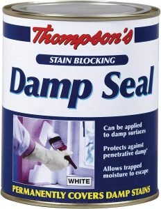 Thompsons anti damp seal paint