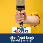 Best Paint Brush Guide