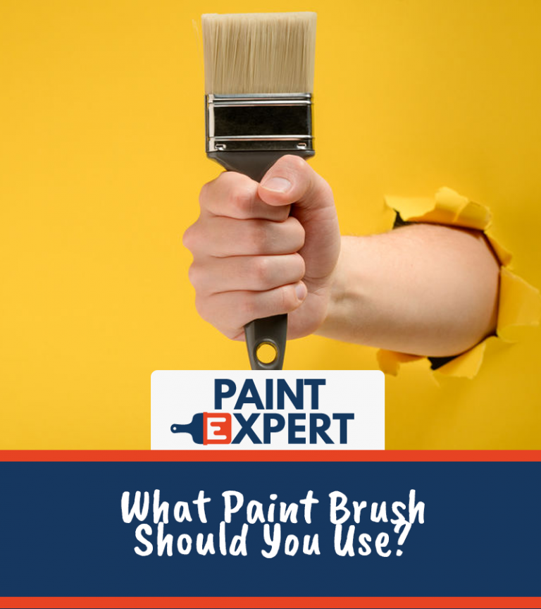 Best Paint Brush Guide DIY Boss