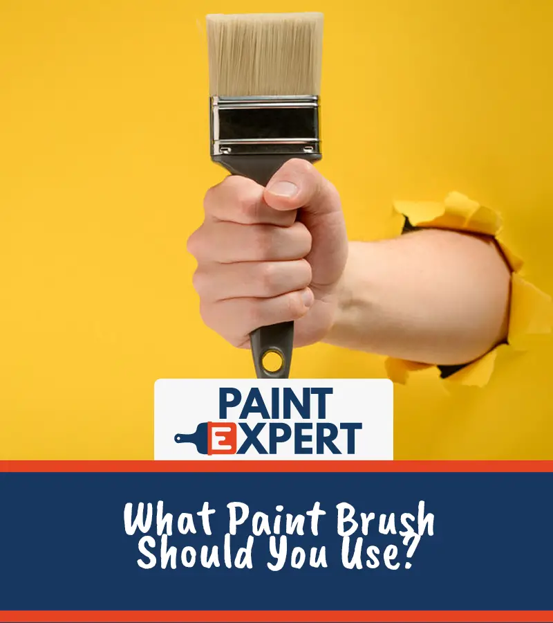 Best Paint Brush Guide 2